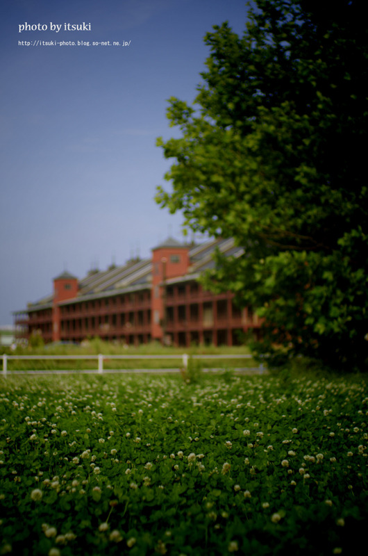 横濱スナップ#1　～赤レンガ倉庫～