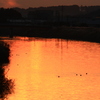 夕暮れ