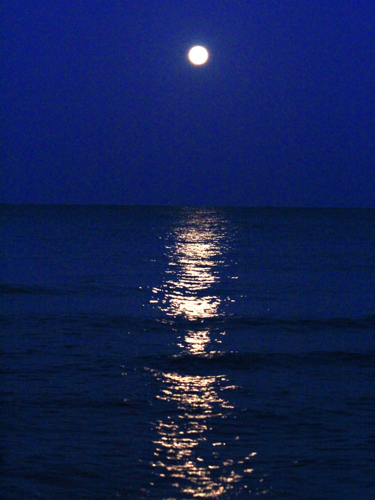 moon light 1