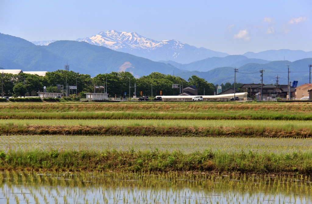 ５月の田園にて