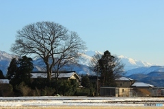 冬晴れ〜白山を望む里