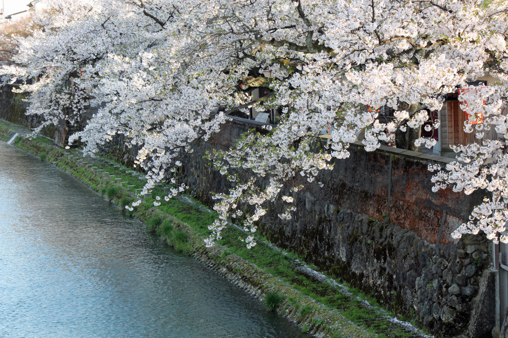 女川　中の橋から