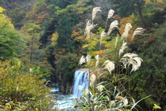 峡谷の秋