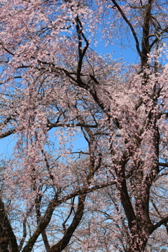 和の響き