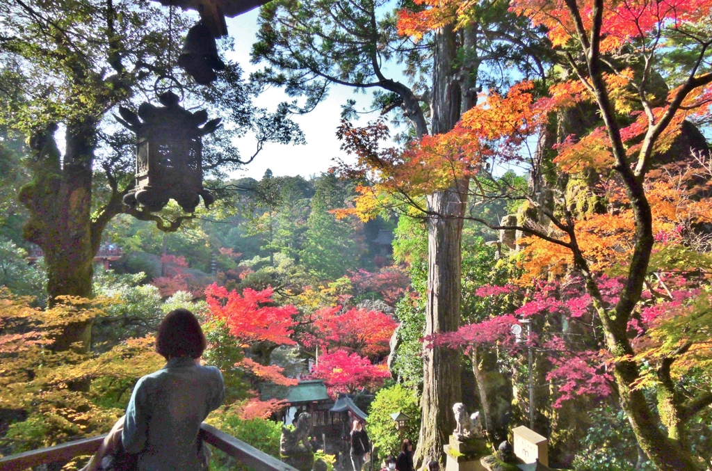 古寺を訪ねて