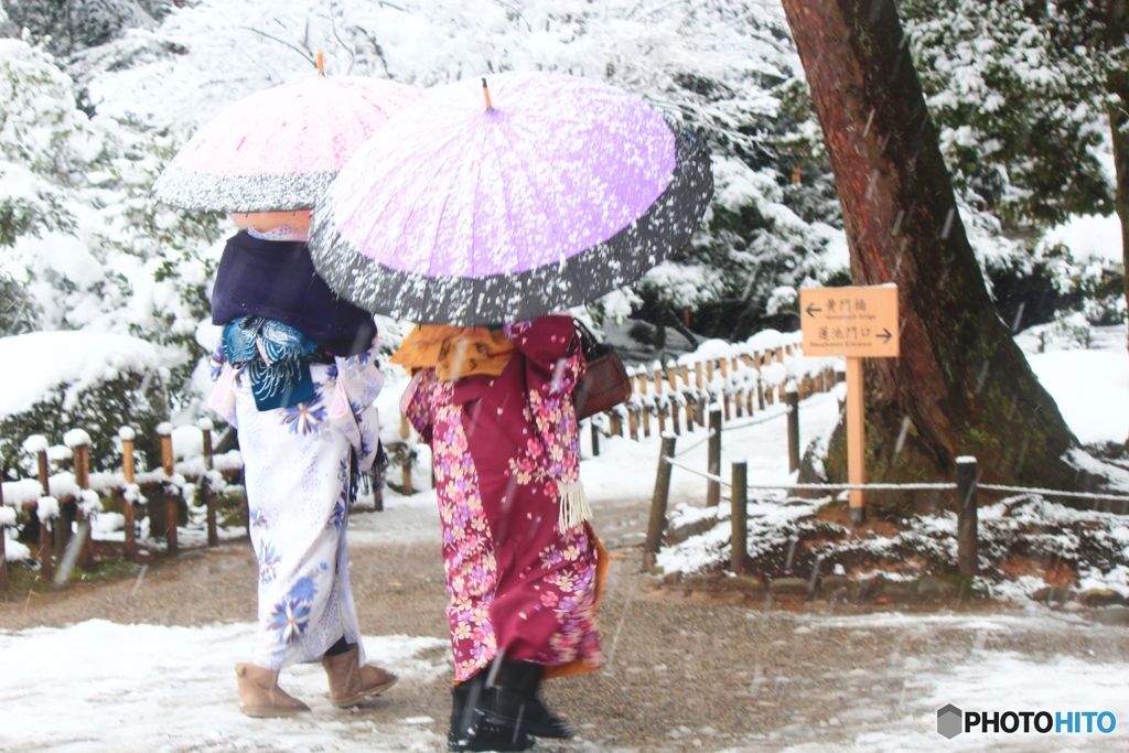 雪傘〜兼六園