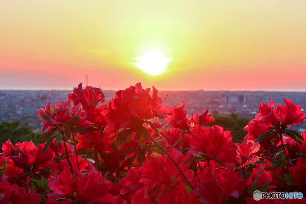 夕陽の丘で