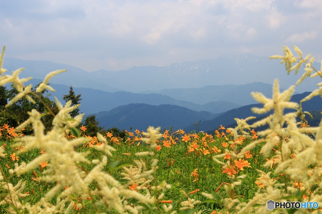 白山高山植物園にて