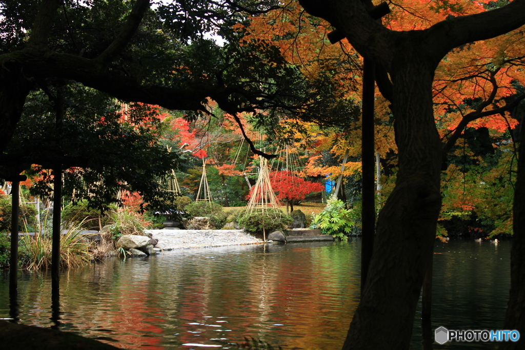 夕暮れの庭園
