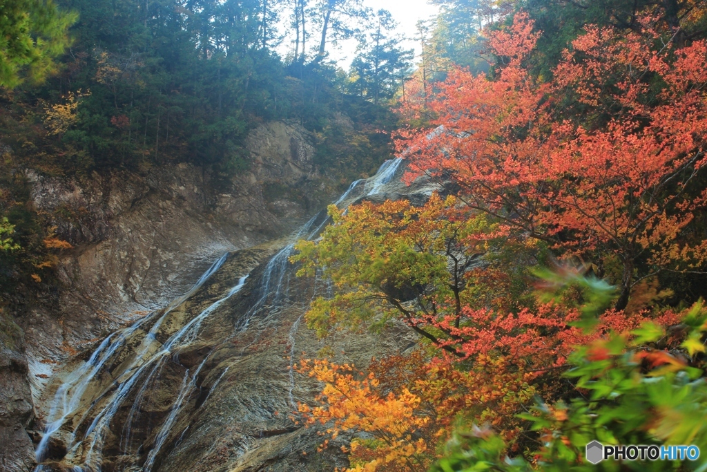 峡谷の秋