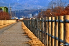 夕暮れの散歩道