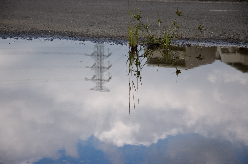 雨上がり