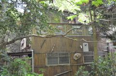 五月　京都