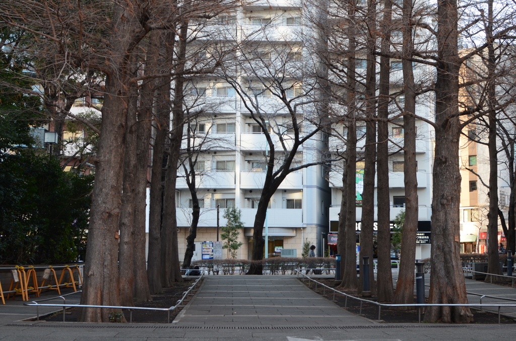 いつもと違う