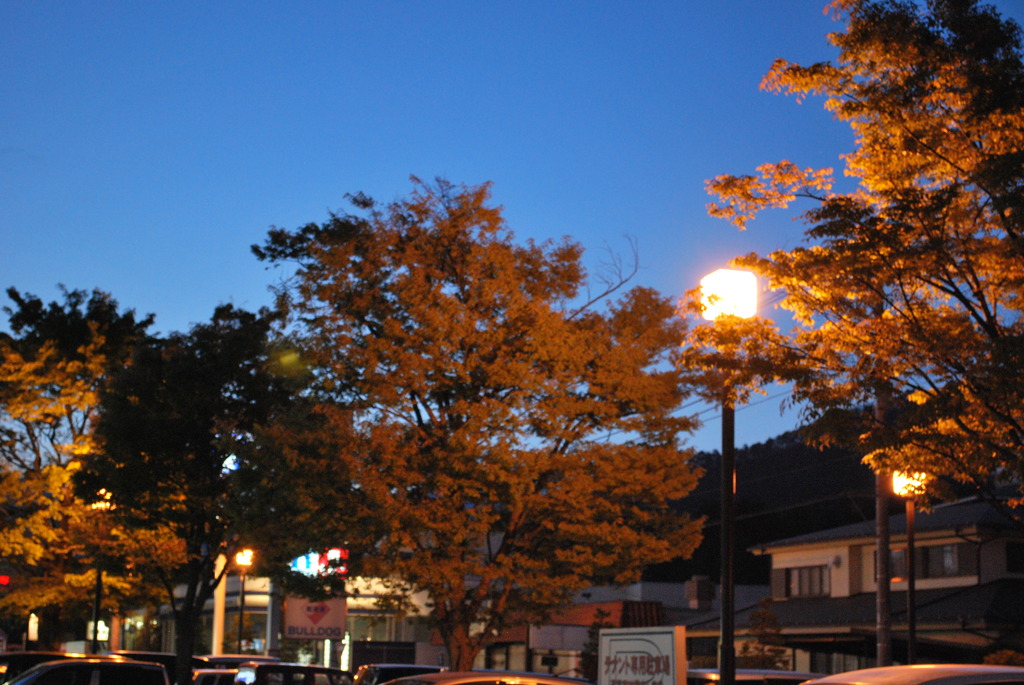 そろそろ夜に