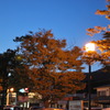そろそろ夜に