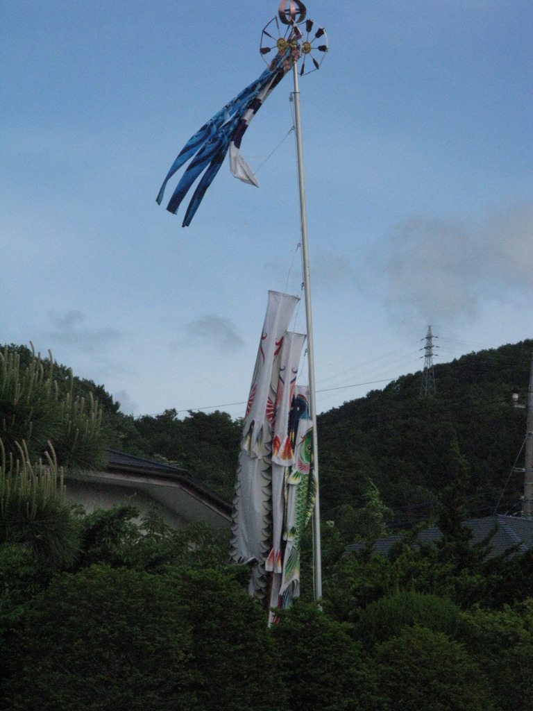 こいのぼり3兄弟