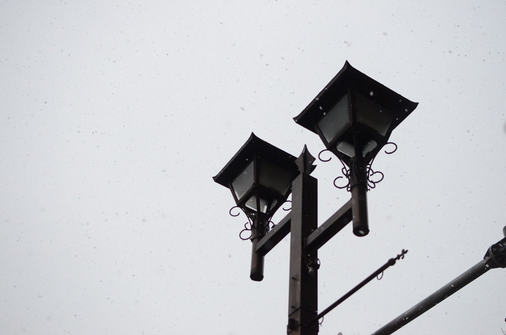 雪、再び