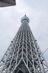 ほぼ真下から