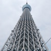 ほぼ真下から