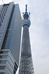すかいつりー☆