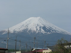 富士と電線