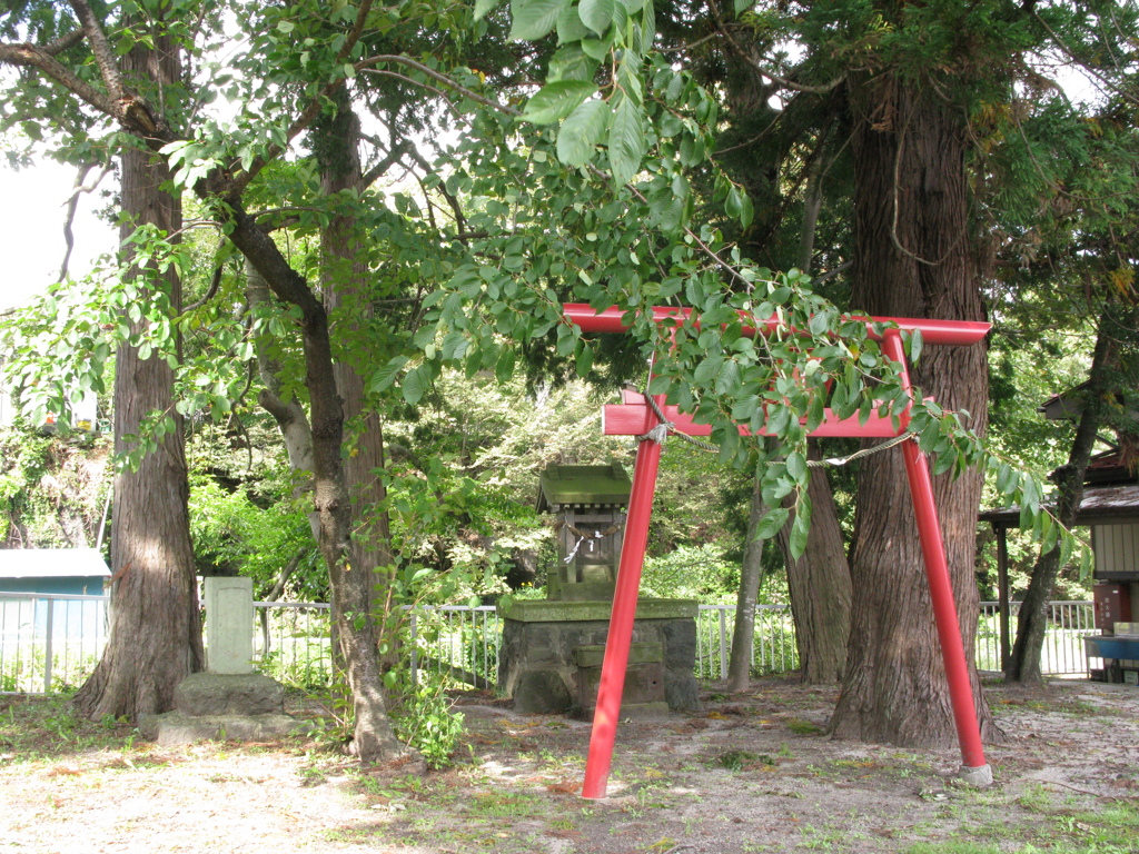 夏の公園