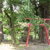 夏の公園