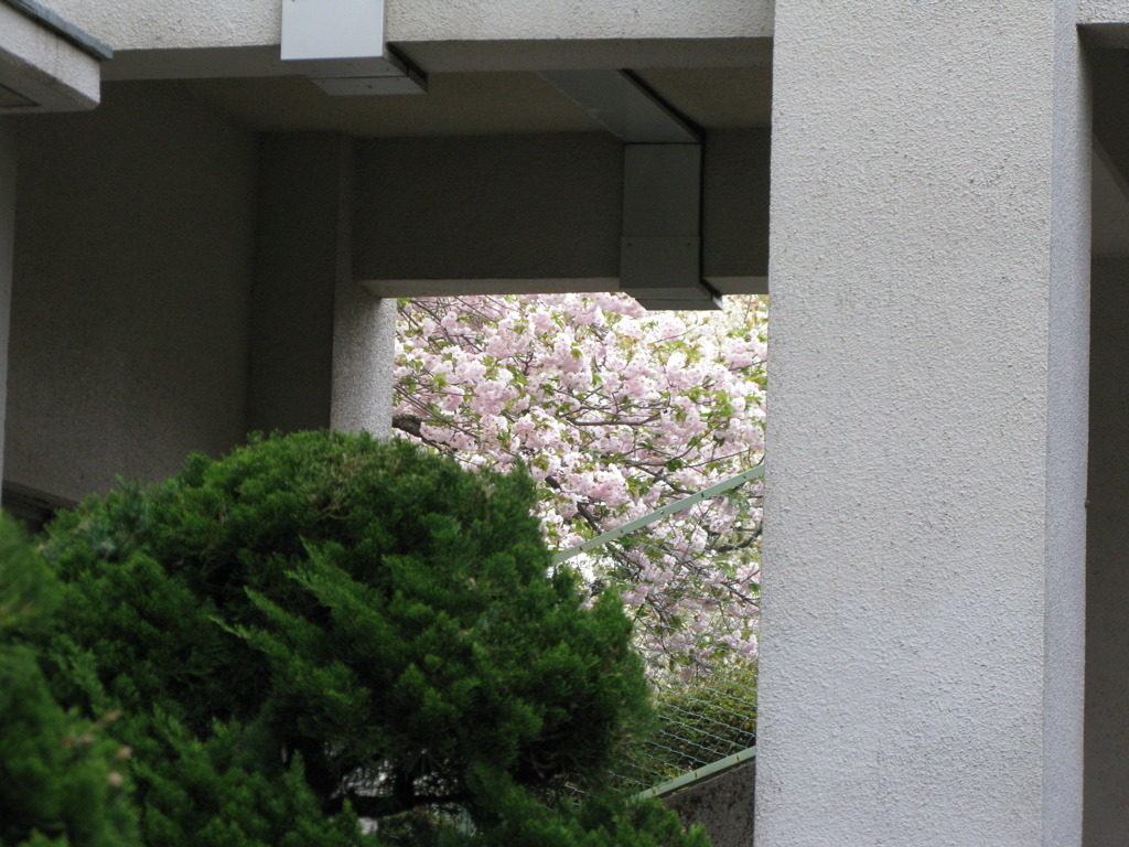 建物越しより遠目から