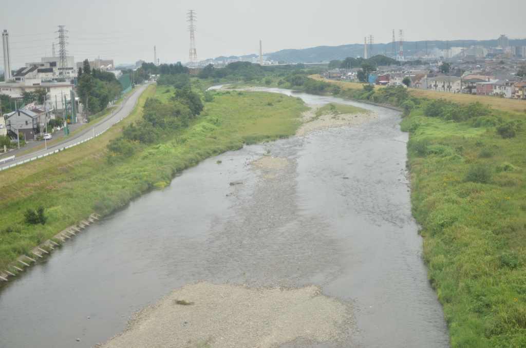 広い、広い