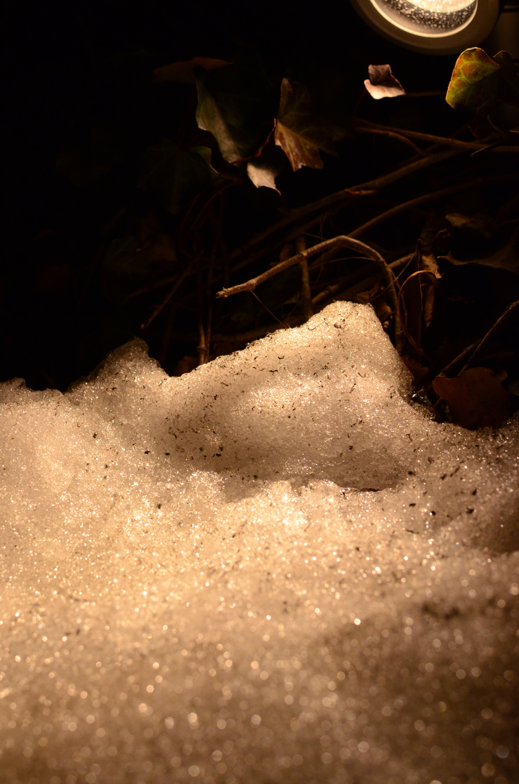 残雪
