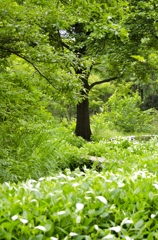 test_