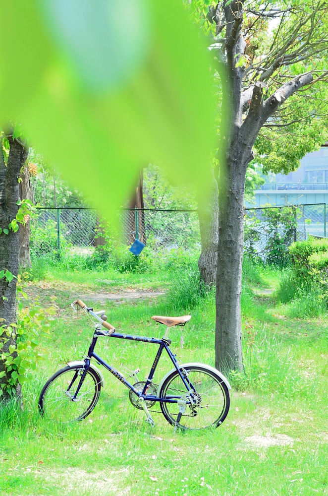 leaf__01