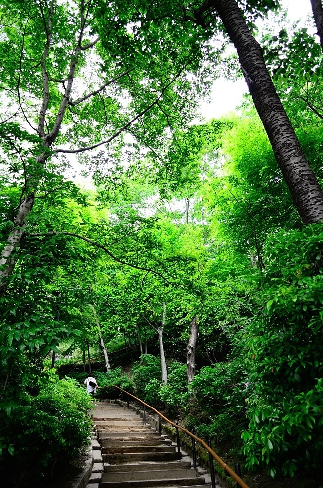 green_