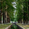 park2