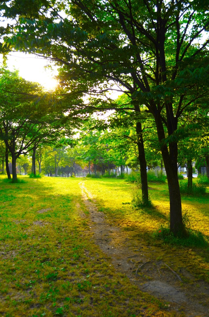 park100