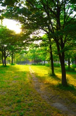 park100