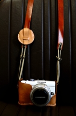 e-pl1