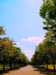 道
