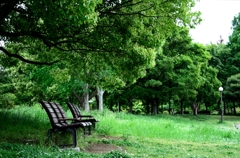 park_