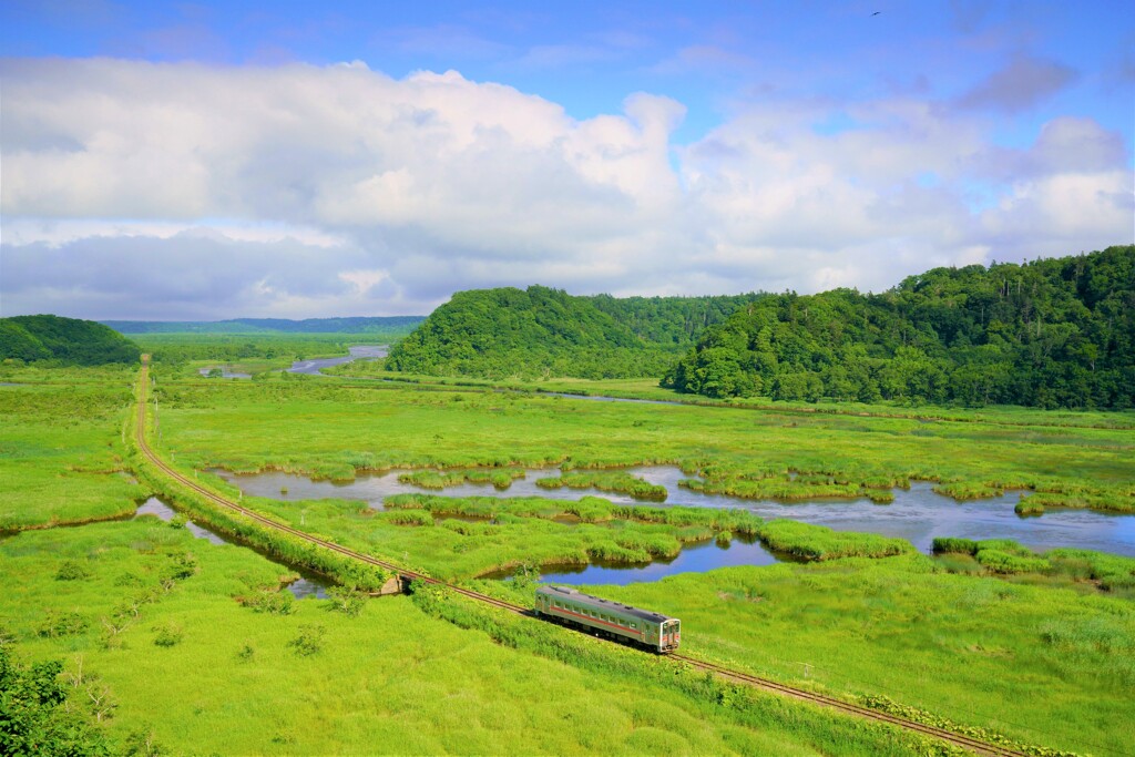 北海道旅行回想　別寒辺牛湿原１