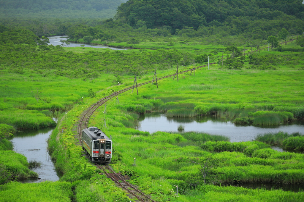 北海道旅行回想　別寒辺牛湿原２