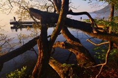 Lake Towada