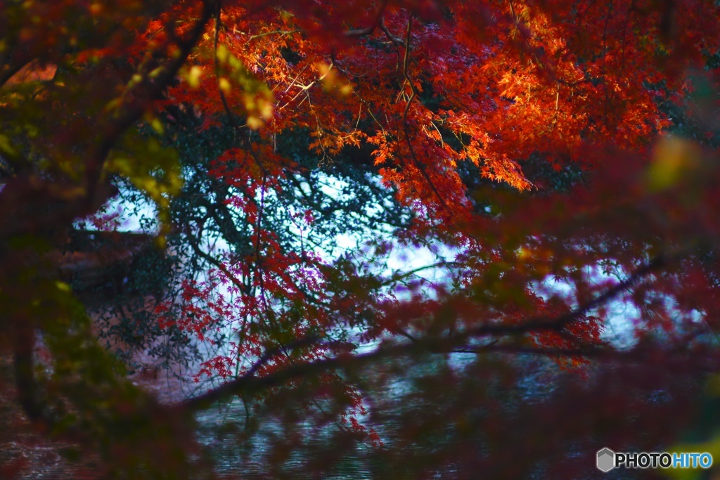 Autunno a Tokyo