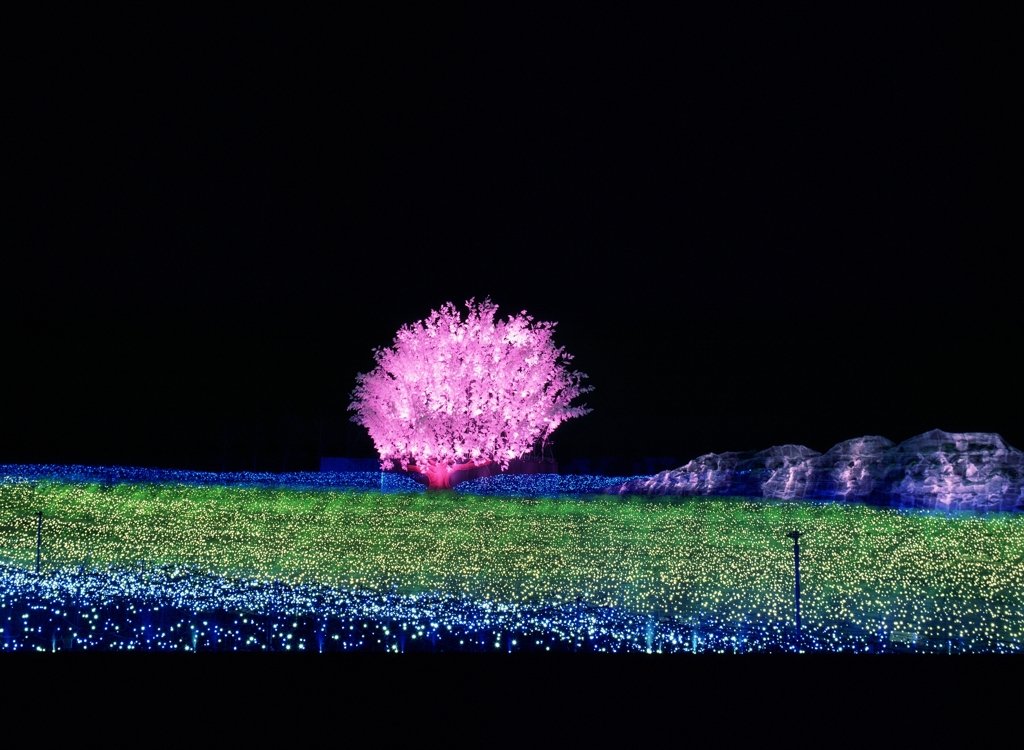 なばなの里