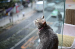 道玄坂から