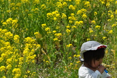 菜の花畑で・・・・