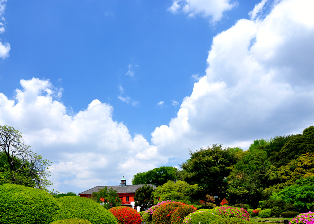 小石川の春