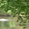 血洗の池