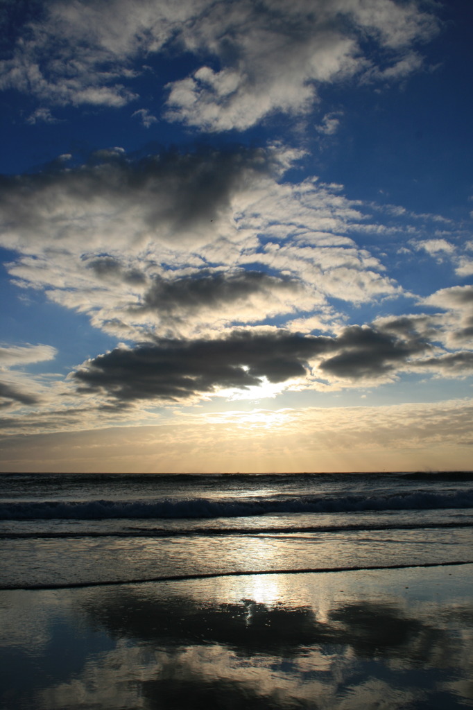 At Piha beach in New Zealand